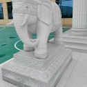 朝阳 白麻花岗岩动物异形石雕-大象