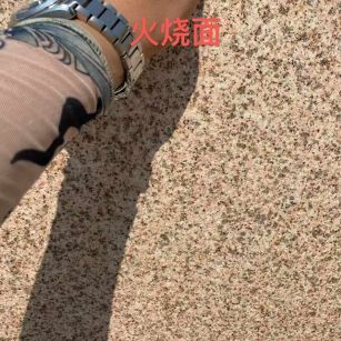 朝阳黄金麻火烧面