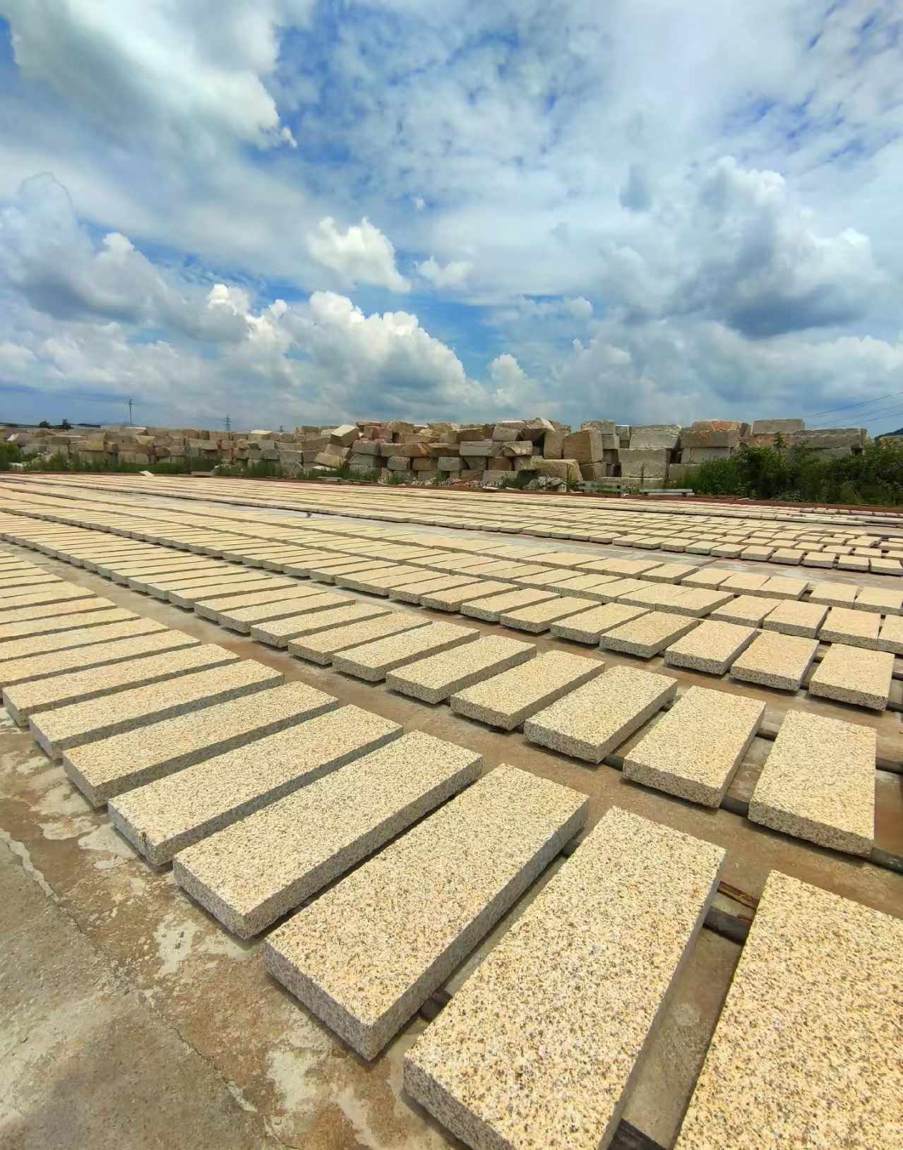 朝阳 黄金麻荔枝面花岗岩石材地铺石防护中
